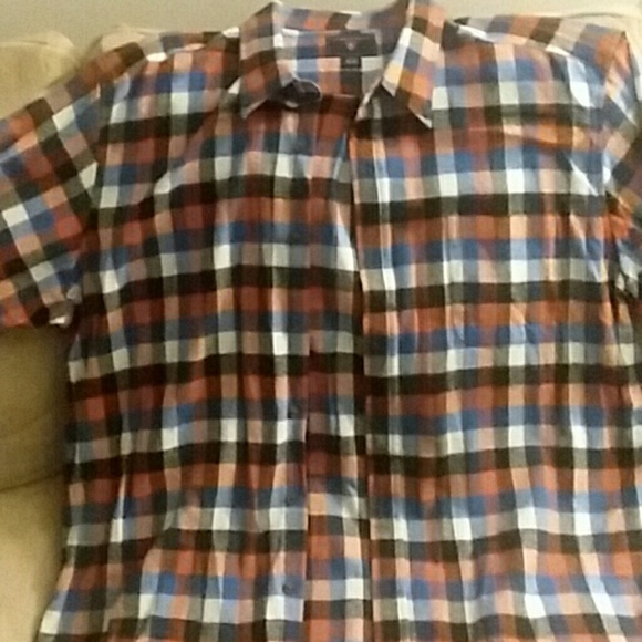 SADDLEBRED - Picture 2 of 3